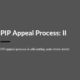 PIP APPEAL PROCESS_II